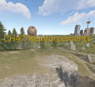 CH47 Reinforcements